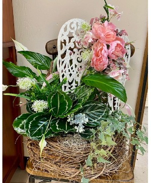 Garden Angel  House Plant