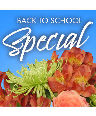 Back to School Special Designer's Choice in Brenham, TX | Sunny Day Blossoms Design Studio