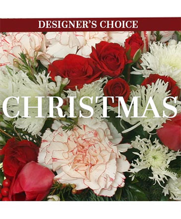 Christmas Flower Arrangement Designer's Choice in Brenham, TX | Sunny Day Blossoms Design Studio