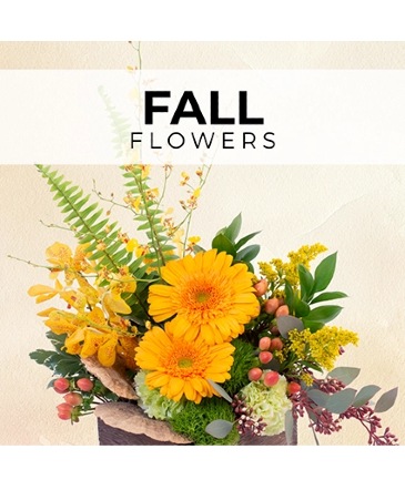 Fall Florist’s Pick Designer's Choice in Brenham, TX | Sunny Day Blossoms Design Studio
