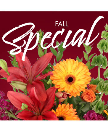 Fall Special Designer's Choice in Brenham, TX | Sunny Day Blossoms Design Studio