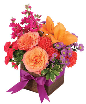 Free Spirit Lilies Flower Arrangement