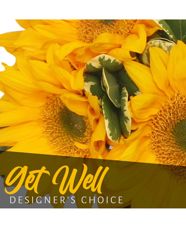 Get Well Bouquet Designer's Choice in Brenham, TX | Sunny Day Blossoms Design Studio
