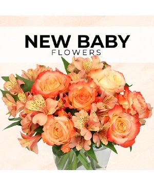 New Baby Florist’s Pick Designer's Choice