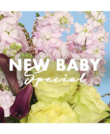 New Baby Special Designer's Choice in Brenham, TX | Sunny Day Blossoms Design Studio