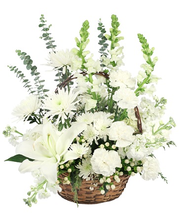 Quiet Nights Basket Arrangement in Brenham, TX | Sunny Day Blossoms Design Studio