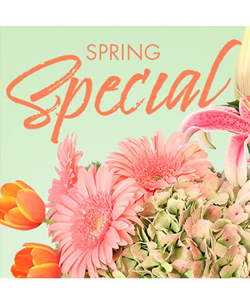 Special of Spring Florals Designer's Choice in Brenham, TX | Sunny Day Blossoms Design Studio