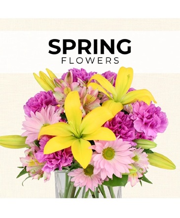 Spring Florist’s Pick Designer's Choice in Brenham, TX | Sunny Day Blossoms Design Studio
