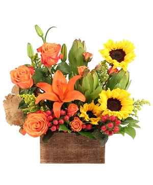 Sunny Radiance Floral Design 